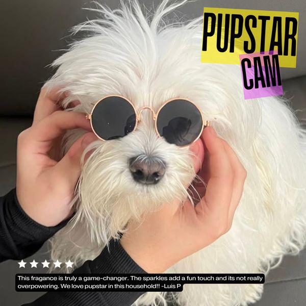 This fragrance is truly a game-changer. The sparkles add a fun touch and its not really overpowering. We love pupstar in this household!! -Luis P. Pupstar Cam