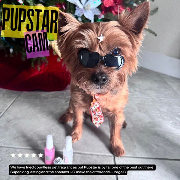 We have tried countless pet fragrances but Pupstar is by far one of the best out there. Super long lasting and the sparkles DO make the difference. —Jorge C. Pupstar Cam