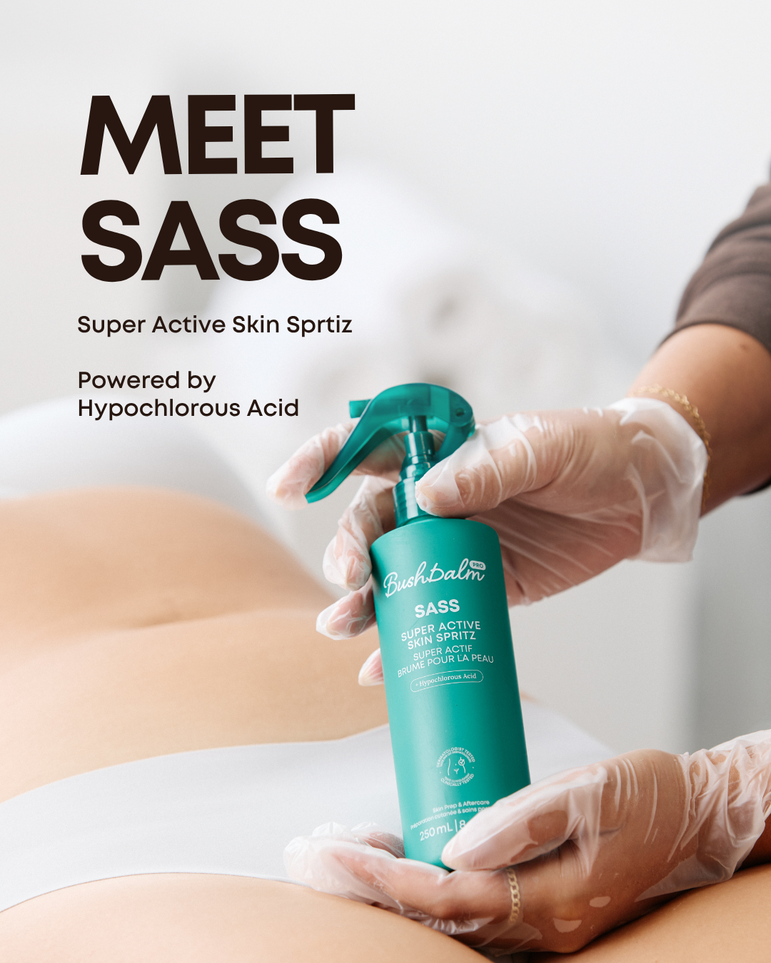 Meet SASS.png