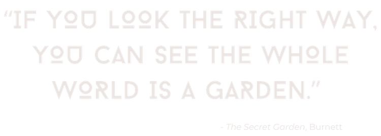 Inspirational quote graphic from The Secret Garden