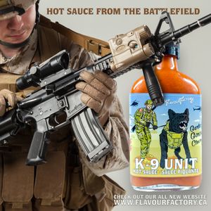 k9 unit Soldier 2.jpg