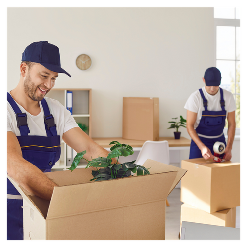 movers packing boxes. 