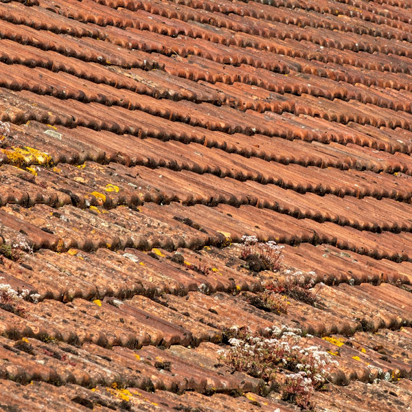 sagging roof