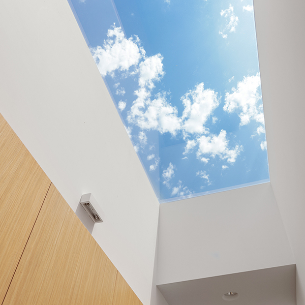 Commercial Skylight Installation.jpg