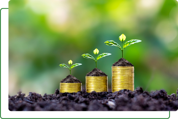 Coins growing representing growth