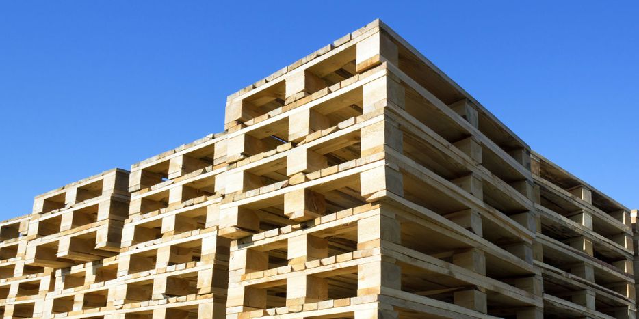 M44824 - Top 4 Reasons to Partner with Pro Pallets for Your Pallet Needs - Hero.jpg