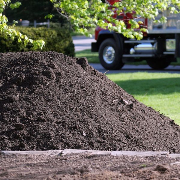 image of dirt