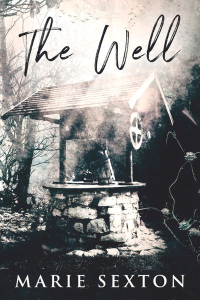 The-wellbookcover-cover-contest-KayAheer2017-eBook.jpg