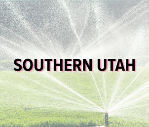 south irrigation (1).png