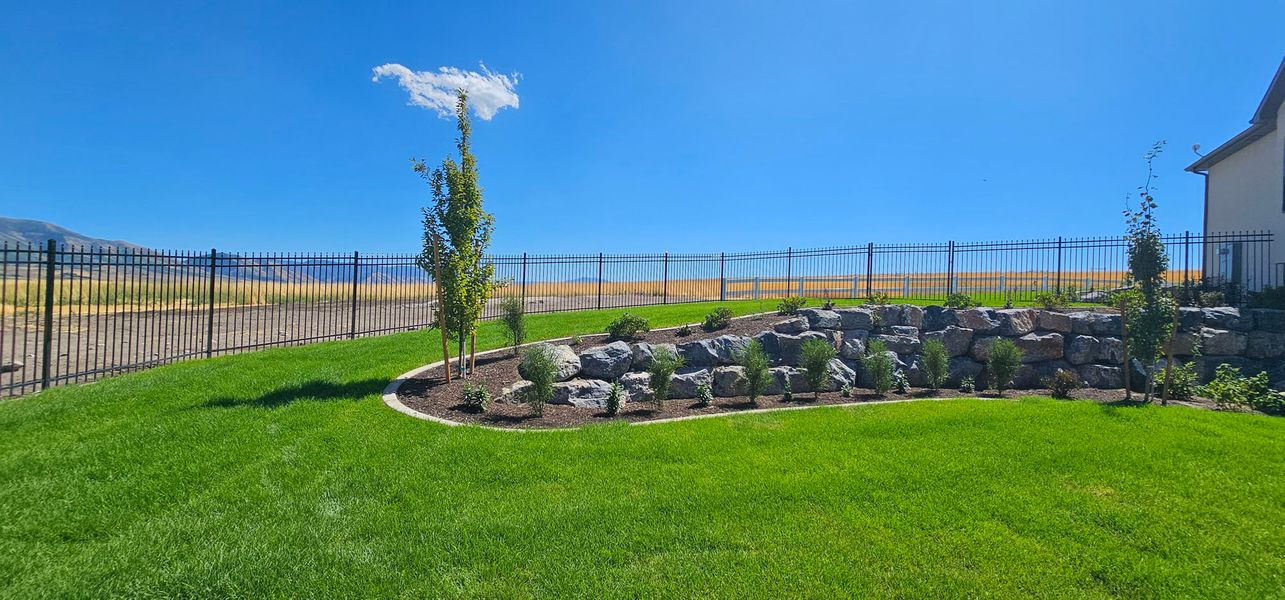 backyard landscaping