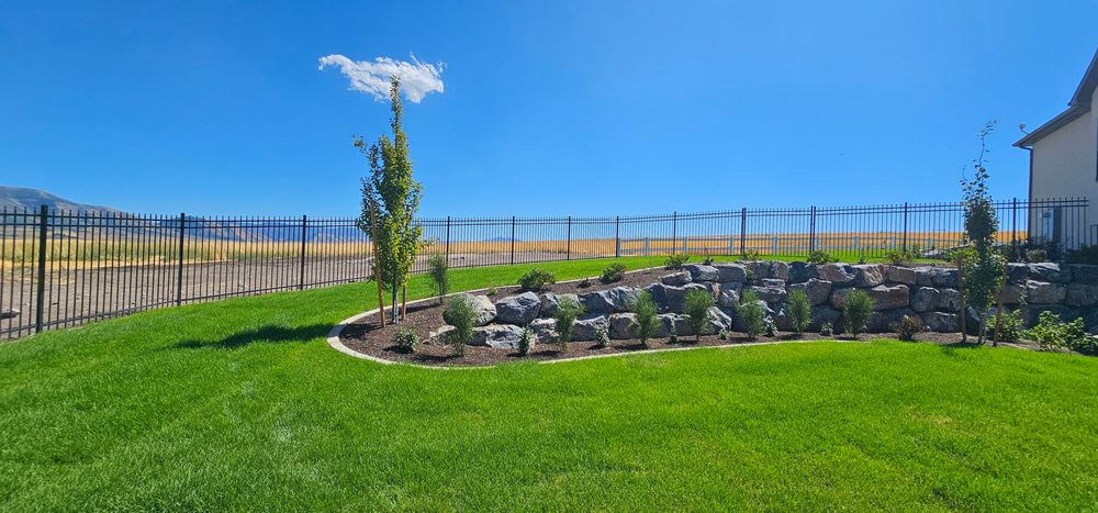 backyard landscaping