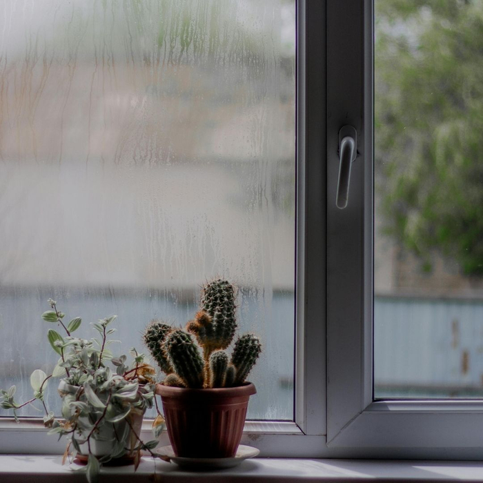 Spring Thaw Checklist - 2.jpg