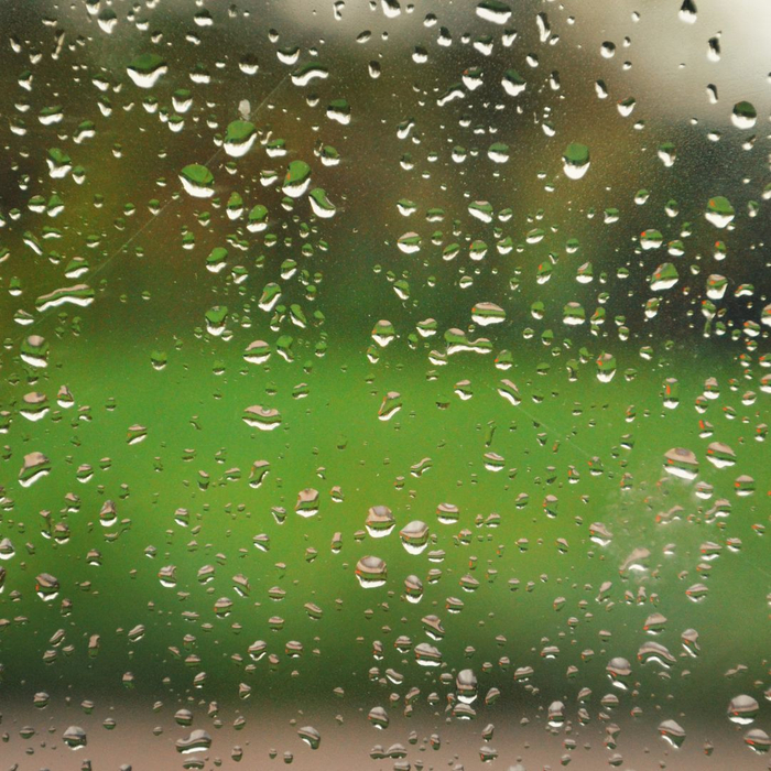 condensation on window