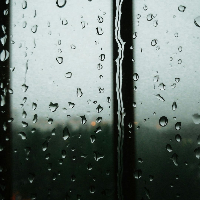 Spring Thaw Checklist - 4.jpg