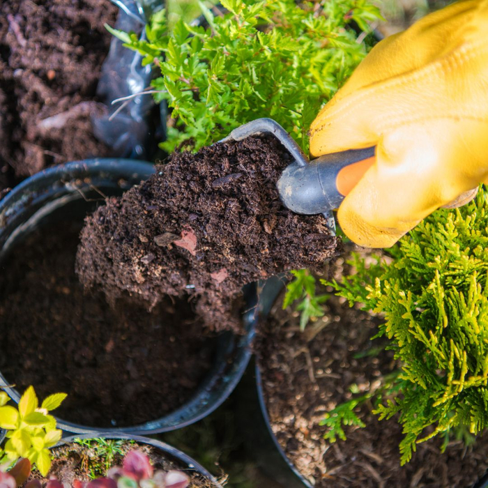 soil in yard