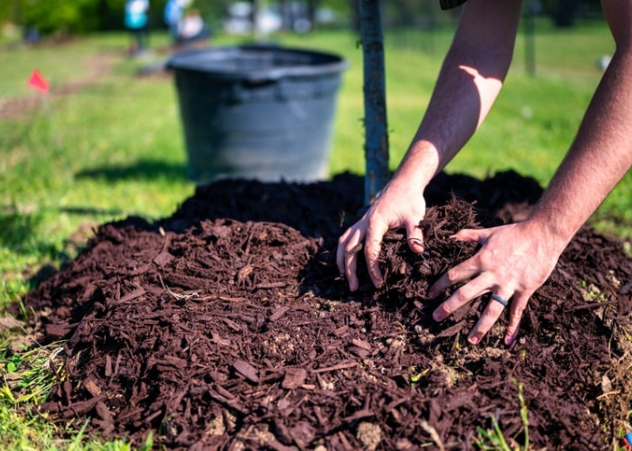 image of a pile of mulch