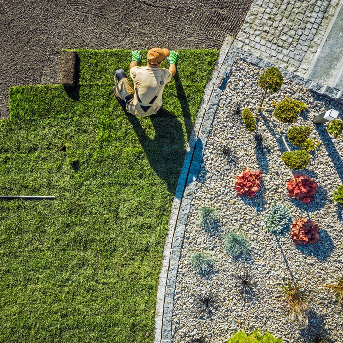 man installing grass on yard