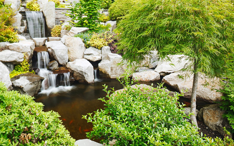 Waterfall feature in yard