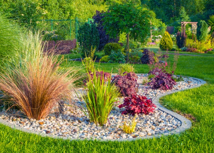 image of a landscaped yard