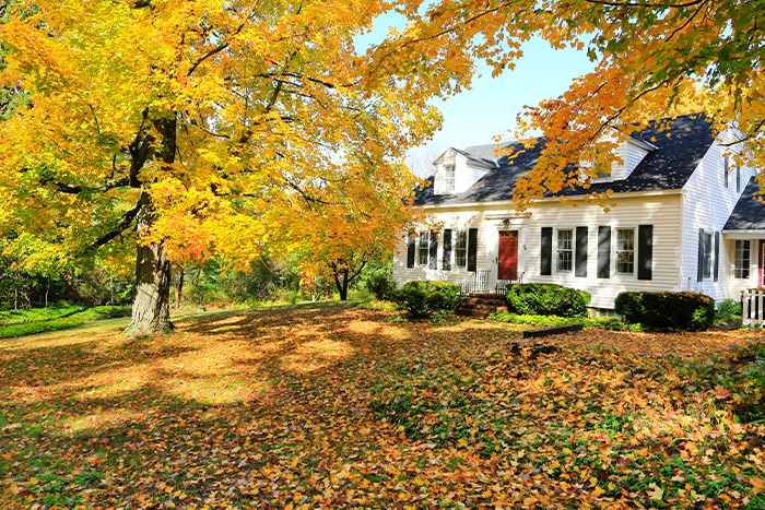 landscaping in fall