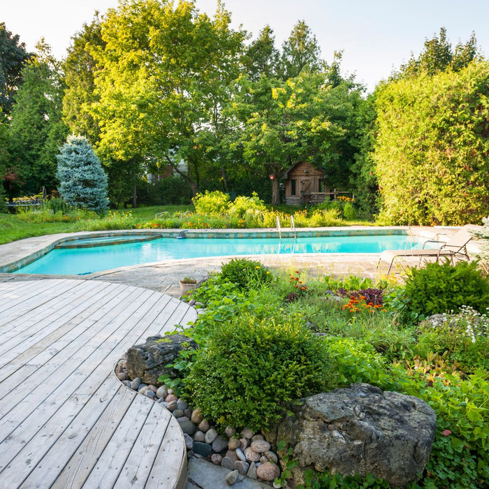 swimming pool in backyard 