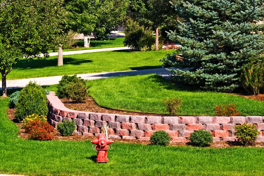 retaining wall for plants