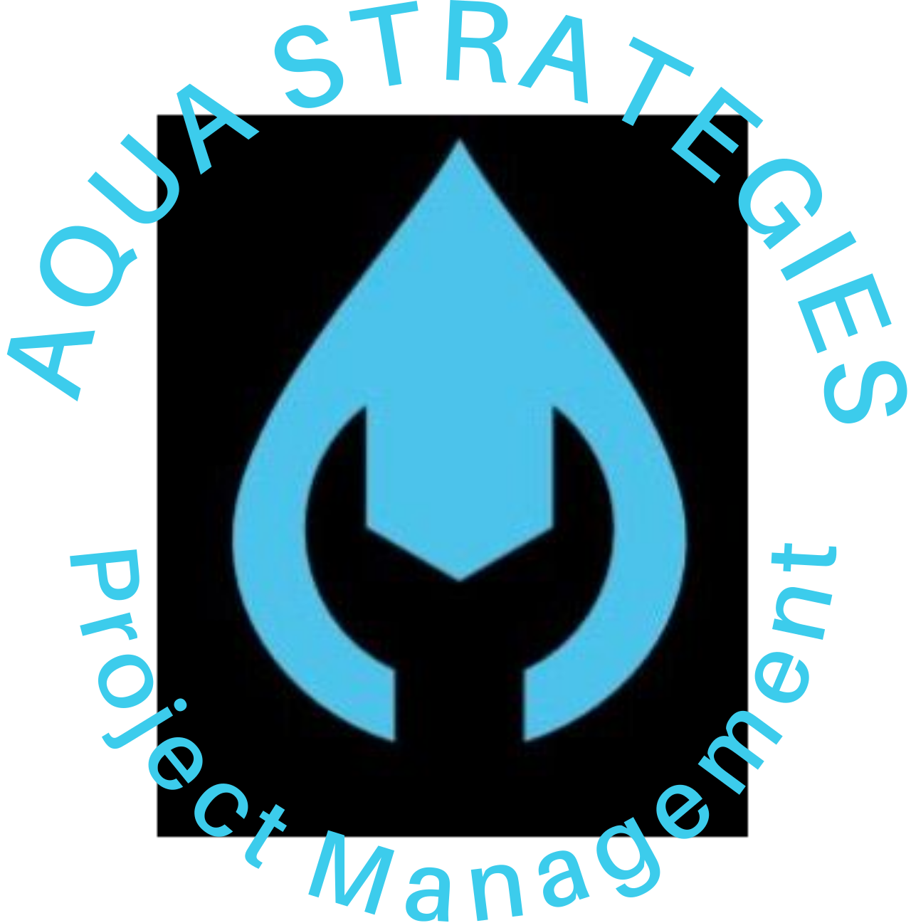 Aqua Strategies Project Management