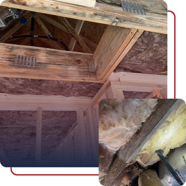 moldy rafters, insulation