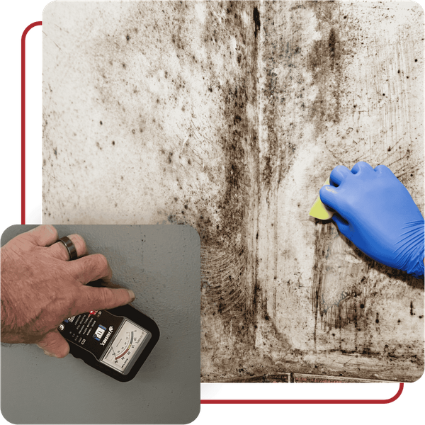 Mold Inspection Carroll County, VA - Image 2.png