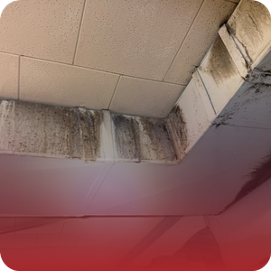 mold on air duct