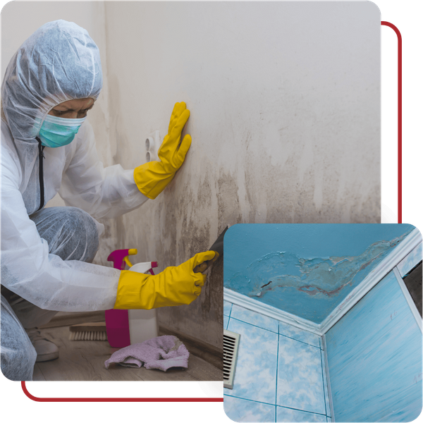 Mold Inspection Alamance County, NC - Image 1.png