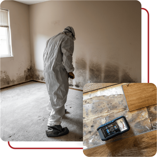 Mold Inspection Alamance County, NC - Image 3.png