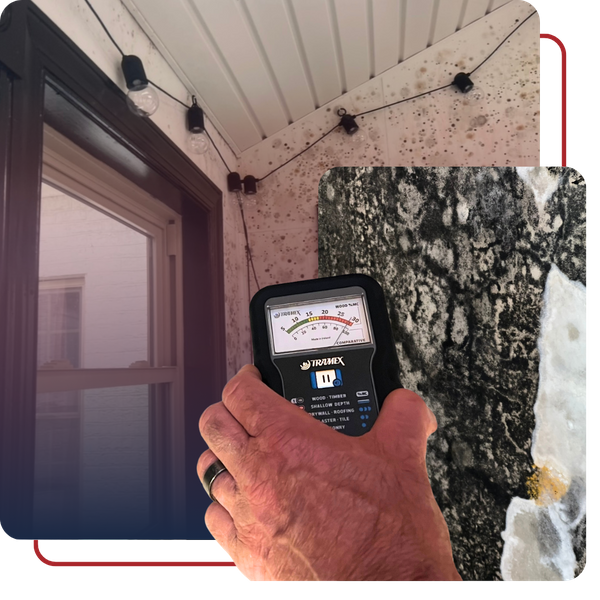 moisture sensor, mold on walls, extremely thick black mold