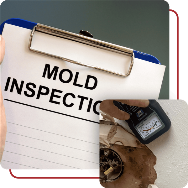 Mold Inspection Carroll County, VA - Image 3.png