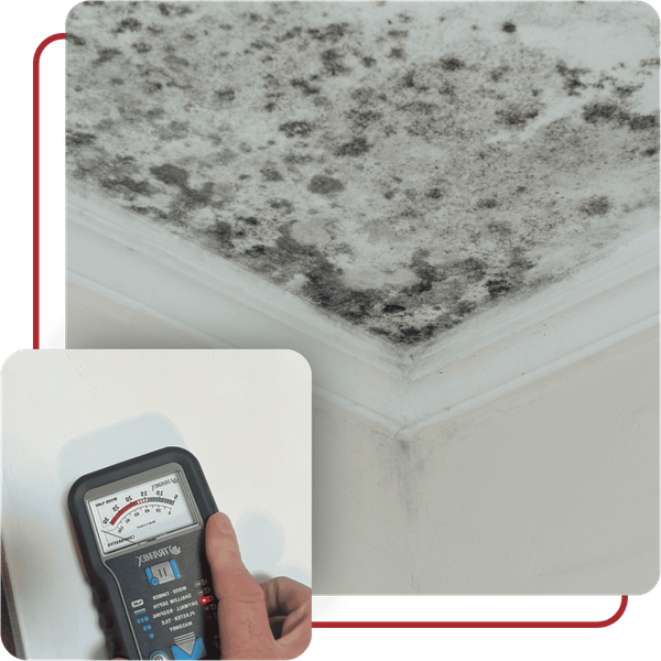 Mold Inspection Carroll County, VA - Image 4.png
