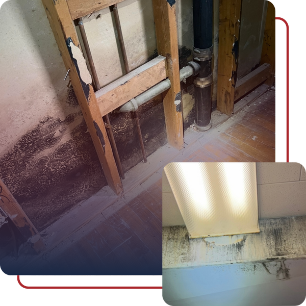 mold in wall, mold on HVAC duct