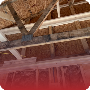 mold in attic rafters