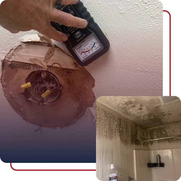 Winston Salem mold inspection 1.png