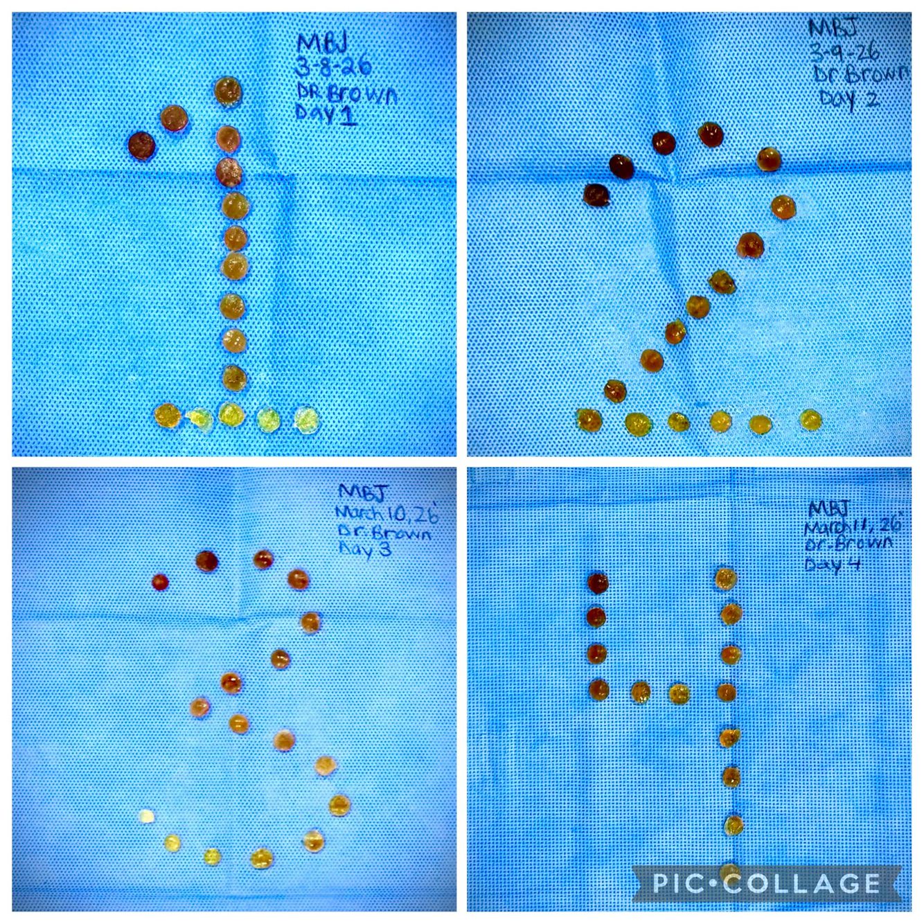 IMG-20260312-WA0024 (1).jpg