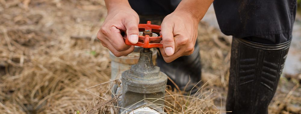 Irrigation Valve Location.jpg