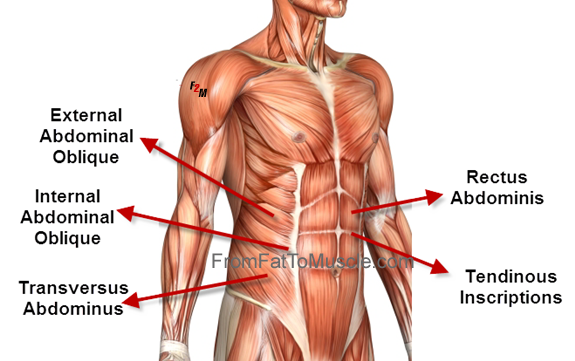abs image.png