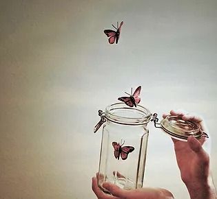 Butterflies flying out of a jar