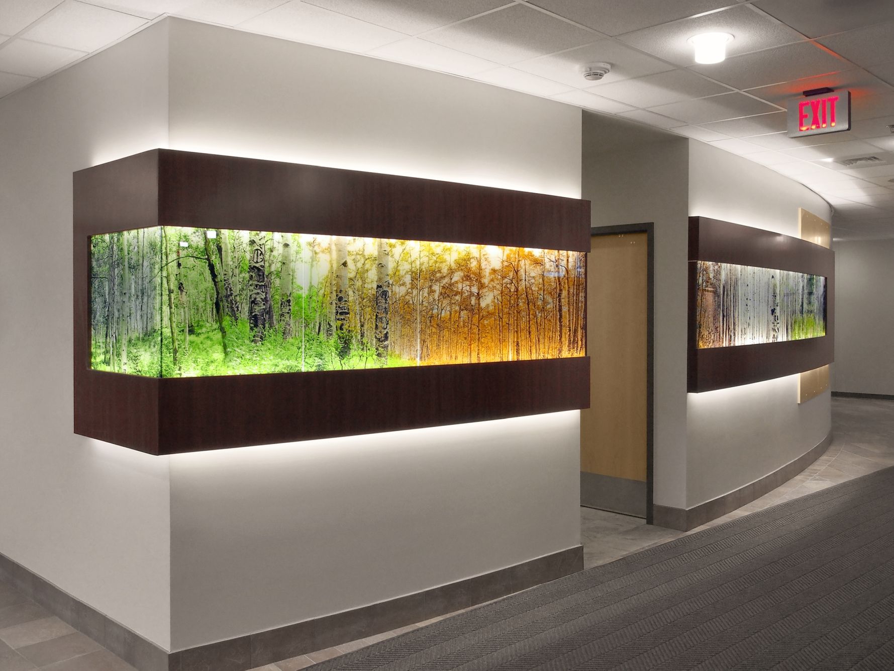 AVH HospitalEntry1.jpg