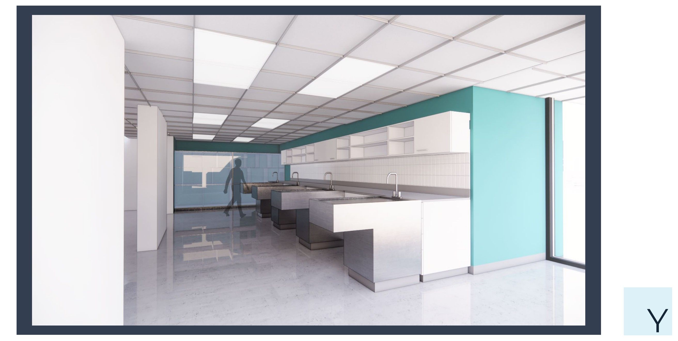 all cats entry 3.jpg