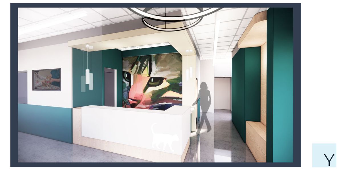 all cats entry 1.jpg