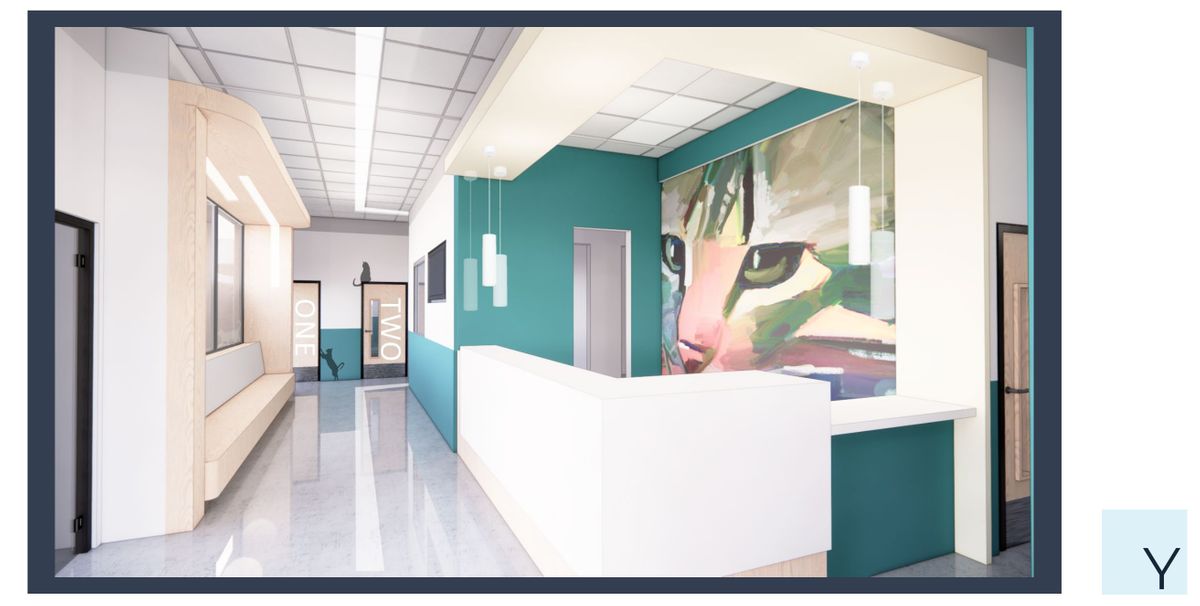 all cats entry 2.jpg