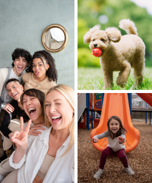 collage of people, a dog with a ball, and a girl on a slide