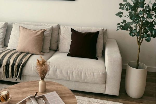 couch and table