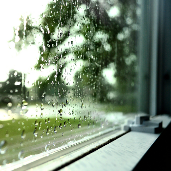 A strong hurricane impact window deflecting wind and rain during a storm. A strong hurricane impact window deflecting wind and rain during a storm.