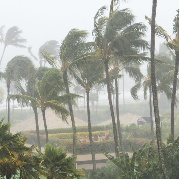 hurricane